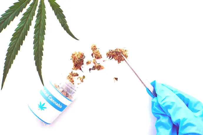 Image of medical cannabis being tested.
