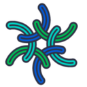 California DCC Funds $1.23M UCLA-Led Cannabis Research with S3 Collective to Set Baseline for Flavor Compounds